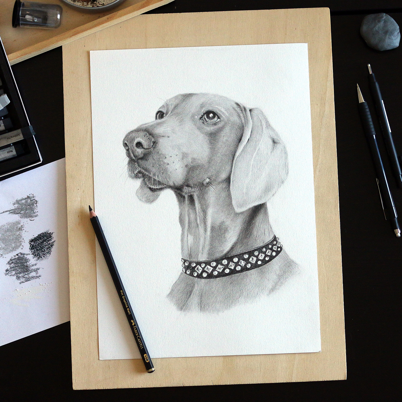 Fertige Zeichnung eines Hundeportraits von der Künstlerin Lisa Albrecht